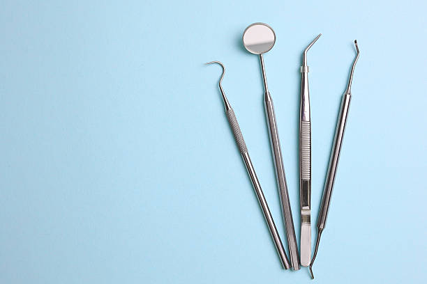 Top rated local Dental specialists in Cheval, FL